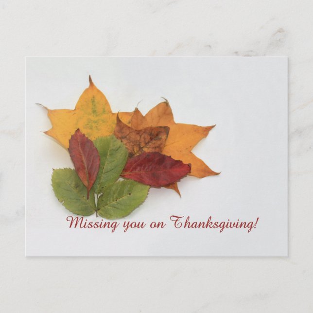missing you thanksgiving foliage holiday postcard (Front)