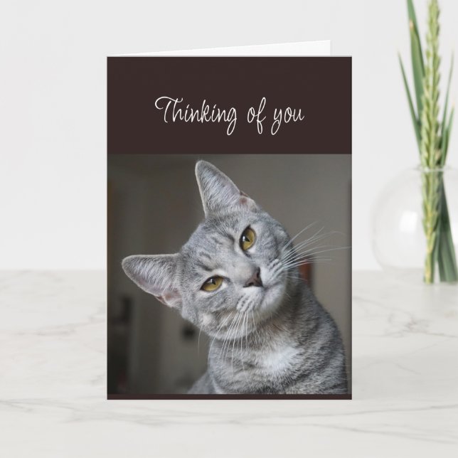 Missing You Thinking of You Curious Cat Card (Front)