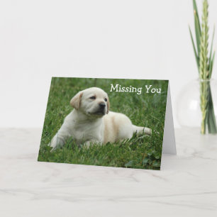 Missing You Yellow Labrador Retriever Puppy Card