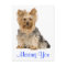 Missing You Yorkshire Terrier Puppy Dog Postcard