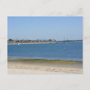 Mission Bay Sailboats Water Postcard