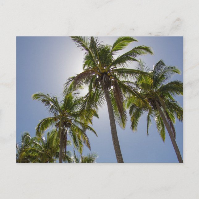 Mission Beach Postcard (Front)