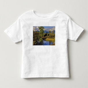 Mission Creek in the National Bison Range in Toddler T-Shirt