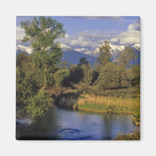 Mission Creek runs through the National Bison Magnet