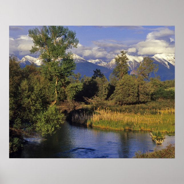 Mission Creek runs through the National Bison Poster (Front)
