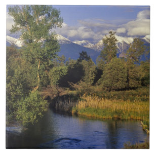 Mission Creek runs through the National Bison Tile