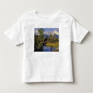 Mission Creek runs through the National Bison Toddler T-Shirt