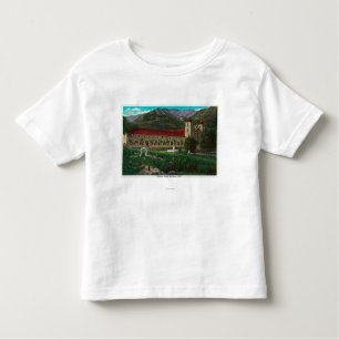 Mission Santa Barbara Toddler T-Shirt