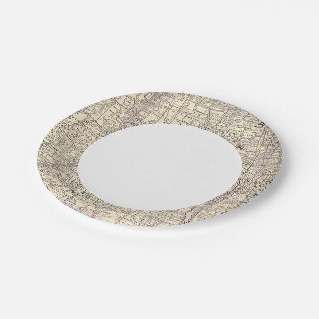 Mississippi 9 paper plate (Angled)