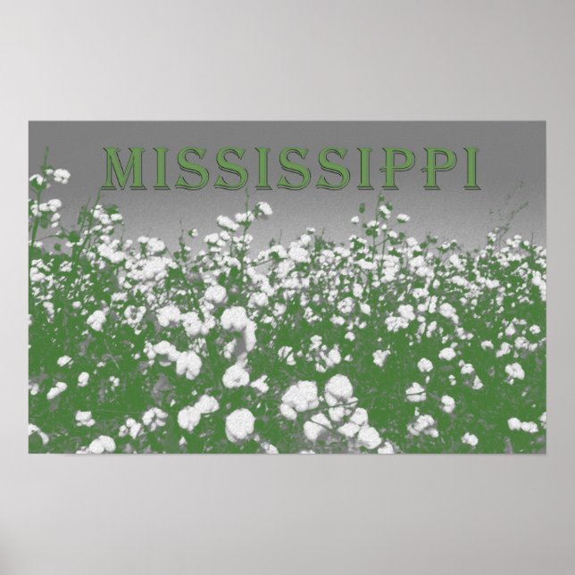 Mississippi Cotton Poster (Front)