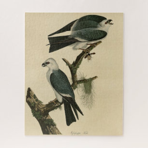 Mississippi Kite from Audubon's Birds of America Jigsaw Puzzle