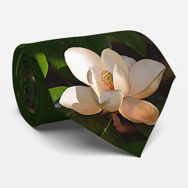 Mississippi, Louisiana Southern Magnolia Tie (Rolled)
