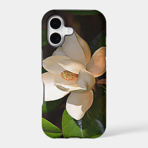 Mississippi Magnolia