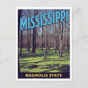 Mississippi Magnolia State Bayou Swamp Postcard