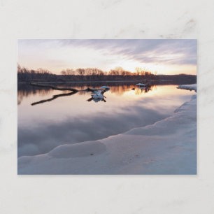 Mississippi River Daybreak in South St Paul Postcard