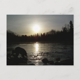 Mississippi river - Sunrise reflection Postcard