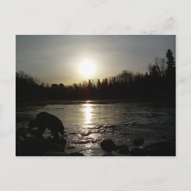 Mississippi river - Sunrise reflection Postcard (Front)