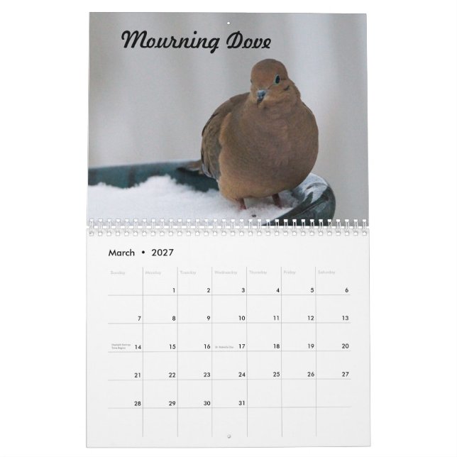 Missouri Backyard Birds Calendar (Mar 2027)