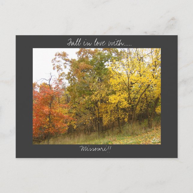 Missouri postcard (Front)