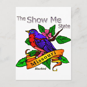 Missouri Show Me Bluebird Postcard
