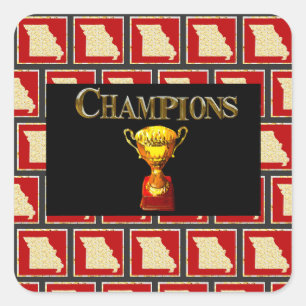 MISSOURI SQUARE STICKER