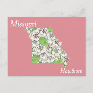 Missouri State Flower Collage Map Postcard