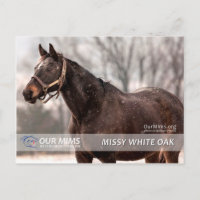 Missy White Oak postcard