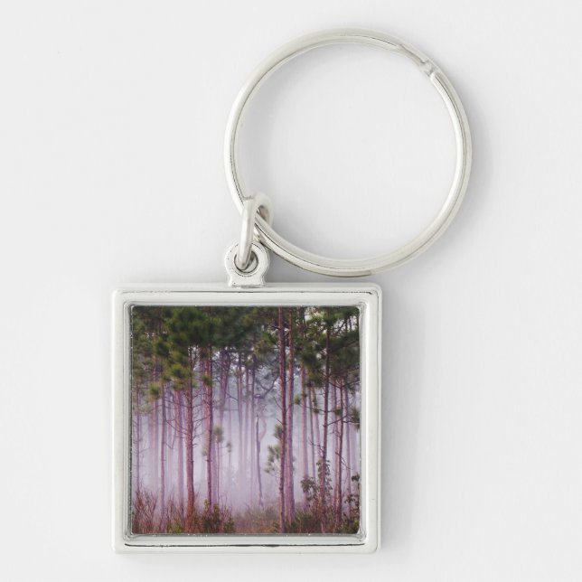 Mist among pine trees at sunrise, Everglades Key Ring (Front)