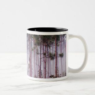 Mist among pine trees at sunrise, Everglades Two-Tone Coffee Mug