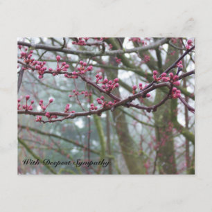 Mist and Budding Tree Bible Verse Sympathy Card