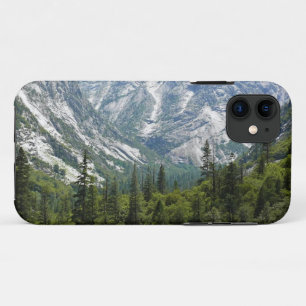 Mist Falls Trail, King's Canyon National Park, CA iPhone 11 Case