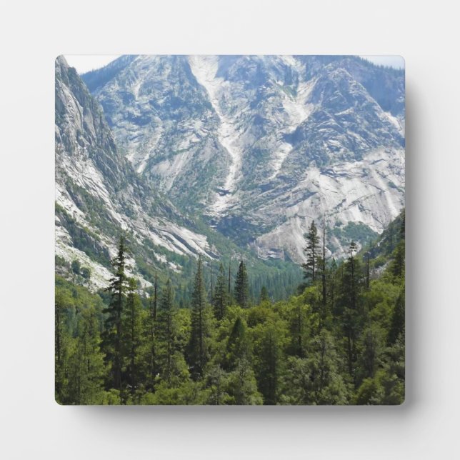 Mist Falls Trail, King's Canyon National Park, CA Plaque (Front)