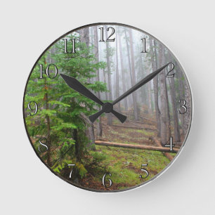Mist in pine tree forest round clock