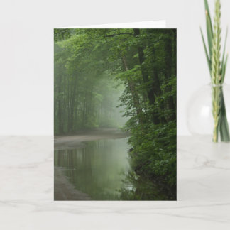 Mist in the forest card