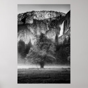 Mist in the Meadow Poster