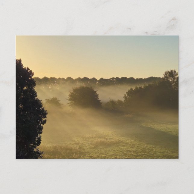 Mist  postcard (Front)