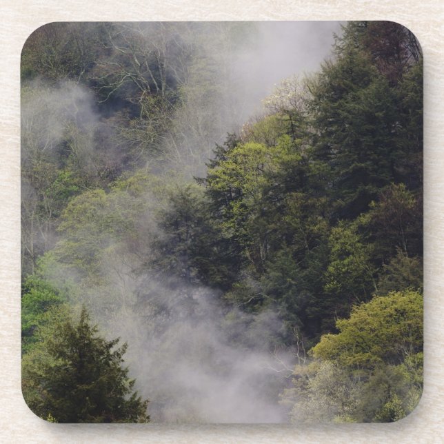 Mist rising from mountainside after spring rain, coaster (Front)
