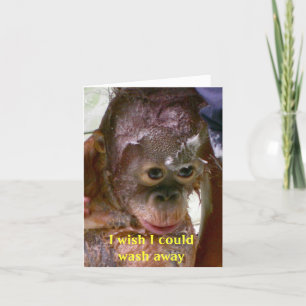 Mistakes I'm Sorry Card