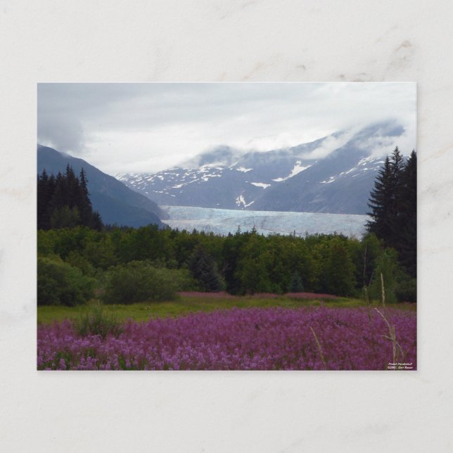 Misted Mendenhall Postcard (Front)