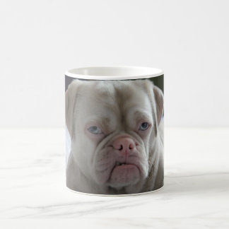 Mister Cornelius grumpy Monday Coffee Mug
