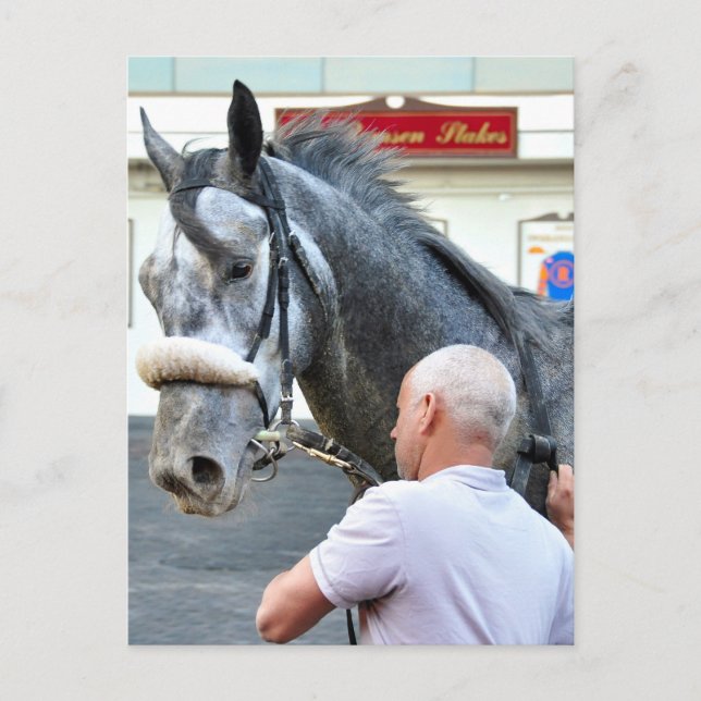 Mister Monolo Postcard (Front)