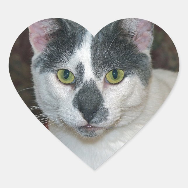 Mister Pants Heart Sticker (Front)