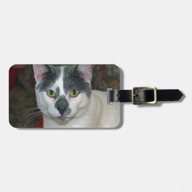Mister Pants Luggage Tag (Front Horizontal)