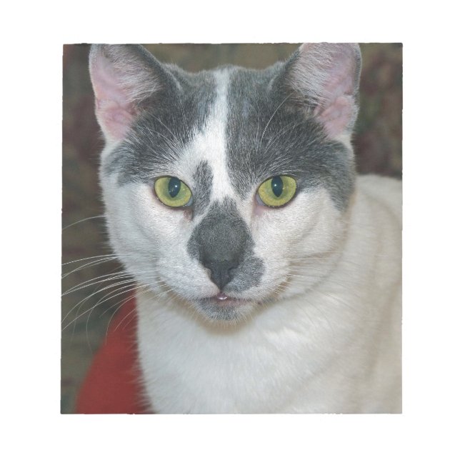 Mister Pants Notepad (Front)