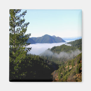 Misting morning fog....... magnet