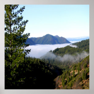 Misting morning fog...... poster