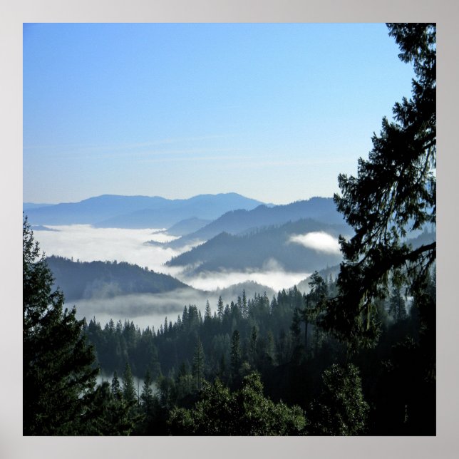 Misting Morning Fog.... Poster (Front)