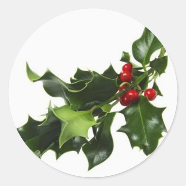 Mistletoe Classic Round Sticker (Front)