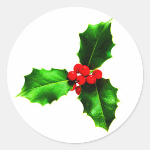 Mistletoe Classic Round Sticker