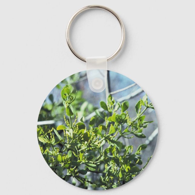 Mistletoe Key Ring (Front)